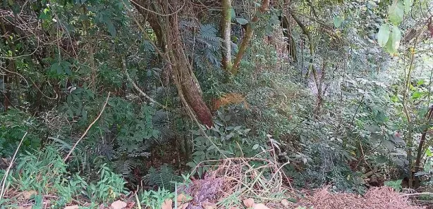 Terreno / Lote / Condomínio à venda, 300m² no Parque Nova Jandira, Jandira