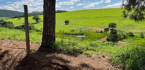Fazenda / Sítio / Chácara à venda, 6580000m² no Área Rural de Pouso Alegre, Pouso Alegre