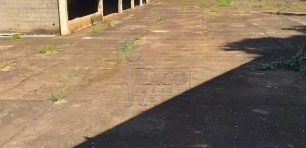 Terreno / Lote / Condomínio para alugar, 1430m² no Campos Elíseos, Ribeirão Preto
