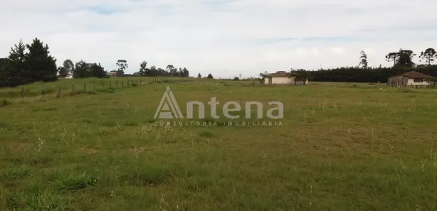 Terreno / Lote / Condomínio para alugar, 2000m² no Quississana, São José dos Pinhais