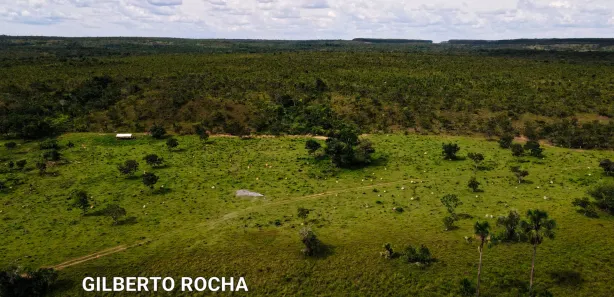 Fazenda / Sítio / Chácara à venda, 17900000m² no , Rio Sono