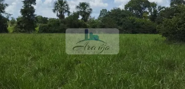 Fazenda / Sítio / Chácara à venda, 6m² no , Divinópolis do Tocantins
