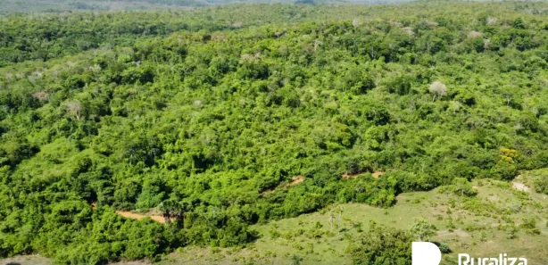 Fazenda / Sítio / Chácara à venda, 1113m² no , Rio Sono