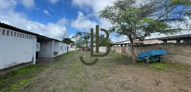 Fazenda / Sítio / Chácara com 4 Quartos à venda, 180m² no , Areial