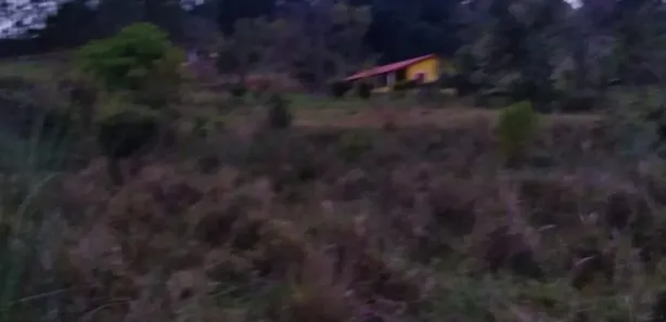 Fazenda / Sítio / Chácara com 3 Quartos à venda, 150m² no , Pilar do Sul