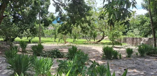 Fazenda / Sítio / Chácara com 4 Quartos à venda, 5000m² no Hararas da Peniche, Tanguá