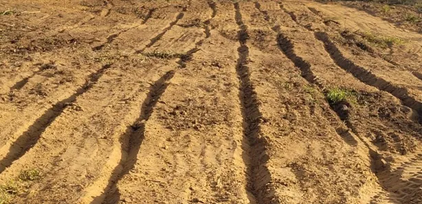 Fazenda / Sítio / Chácara à venda, 3000m² no Praia de Carapibus, Conde