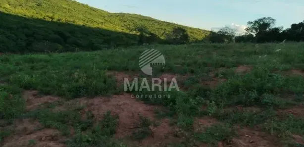 Fazenda / Sítio / Chácara à venda, 76600m² no Divinópolis, Caruaru