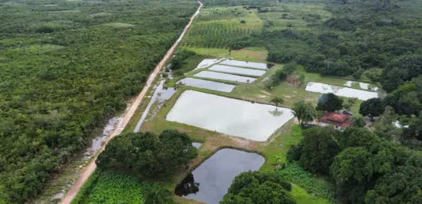 Fazenda / Sítio / Chácara à venda, 32m² no , Morros