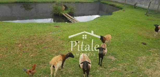 Fazenda / Sítio / Chácara com 1 Quarto à venda, 900m² no Centro, Vargem Grande Paulista