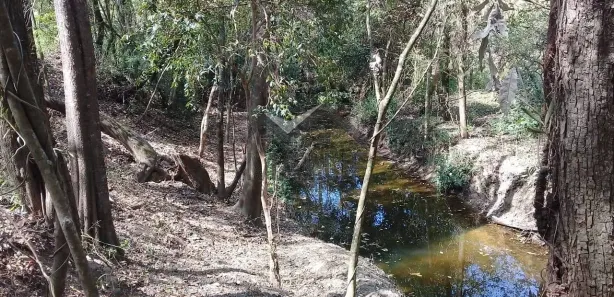 Fazenda / Sítio / Chácara com 4 Quartos à venda, 33000m² no Área Rural de Saltinho, Saltinho