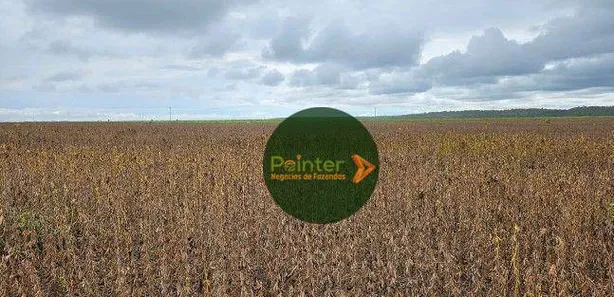 Fazenda / Sítio / Chácara à venda, 9937125m² no , Pedro Afonso