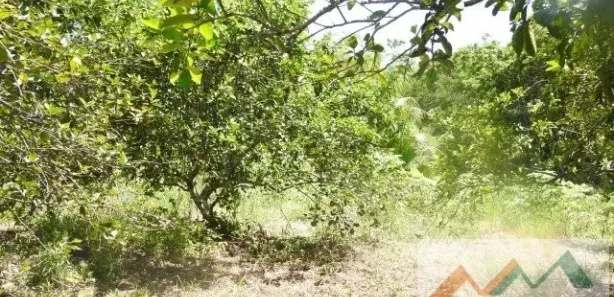 Fazenda / Sítio / Chácara com 2 Quartos à venda, 86000m² no , Tanguá