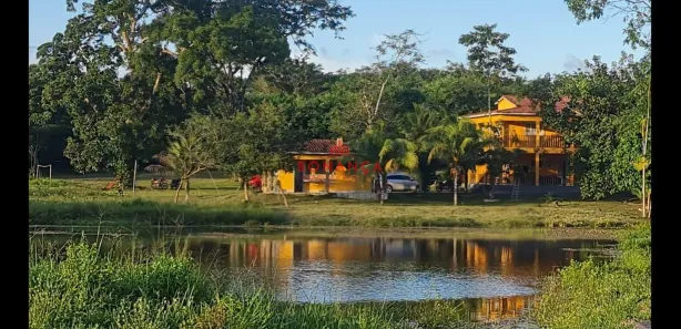 Fazenda / Sítio / Chácara com 5 Quartos à venda, 10m² no POV CAFEZAL, Turiaçu