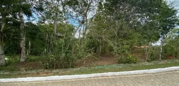 Terreno / Lote / Condomínio com 1 Quarto à venda, 1000m² no , Aliança
