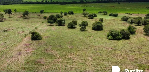 Fazenda / Sítio / Chácara à venda, 902m² no , Pium