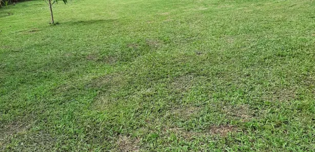 Fazenda / Sítio / Chácara com 3 Quartos à venda, 175m² no Campo Grande, Rio de Janeiro