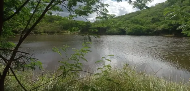 Fazenda / Sítio / Chácara com 4 Quartos à venda, 140000m² no , Pombos
