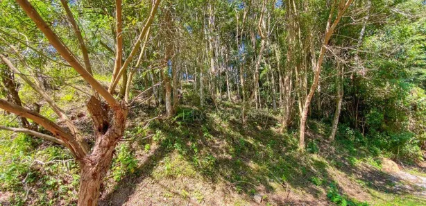 Terreno / Lote / Condomínio à venda, 360m² no Jardim Europa, Vargem Grande Paulista