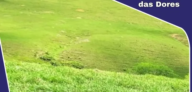 Fazenda / Sítio / Chácara à venda, 408000000m² no Centro, Nossa Senhora das Dores
