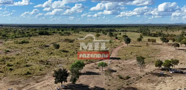 Fazenda / Sítio / Chácara à venda, 500m² no , Paranã