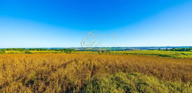 Fazenda / Sítio / Chácara com 1 Quarto à venda, 456017m² no Centro, Ponta Grossa