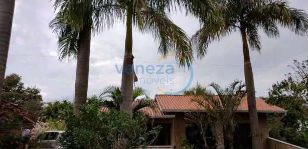 Fazenda / Sítio / Chácara com 2 Quartos à venda, 600m² no Assaí, Assaí