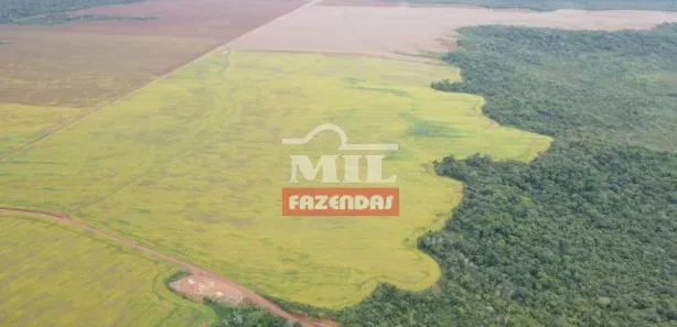 Fazenda / Sítio / Chácara à venda, 55000000m² no , Pedro Afonso