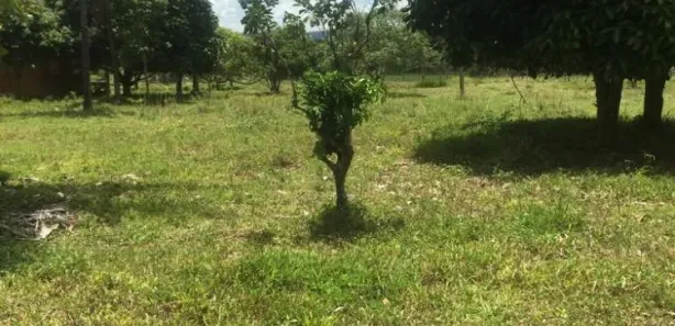 Fazenda / Sítio / Chácara com 4 Quartos à venda, 189m² no , Agrestina