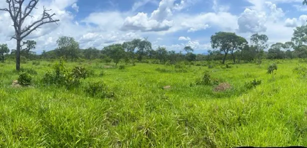 Terreno / Lote / Condomínio à venda, 20000m² no Centro, Pirenópolis