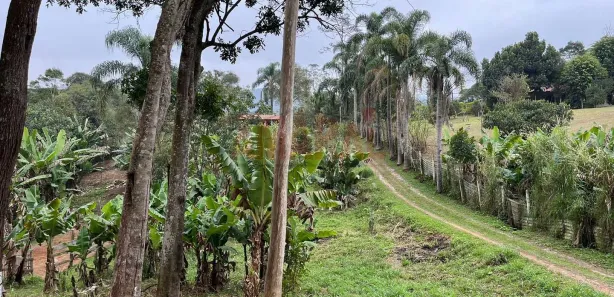 Fazenda / Sítio / Chácara com 3 Quartos à venda, 1m² no Tanque Caio, Ribeirão Pires