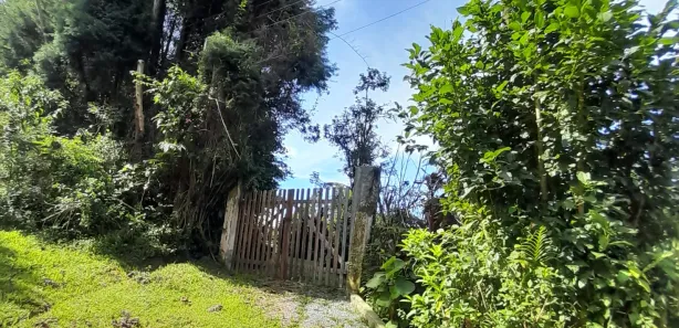 Fazenda / Sítio / Chácara com 2 Quartos à venda, 8372m² no Paiol do Meio, São Lourenço da Serra