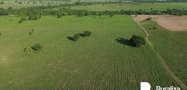 Fazenda / Sítio / Chácara à venda, 261m² no , Bernardo Sayão