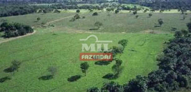 Fazenda / Sítio / Chácara à venda no Área Rural de Formosa, Formosa