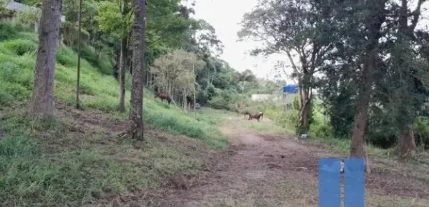 Fazenda / Sítio / Chácara com 7 Quartos à venda, 11000m² no Chácaras Lidia, Embu das Artes