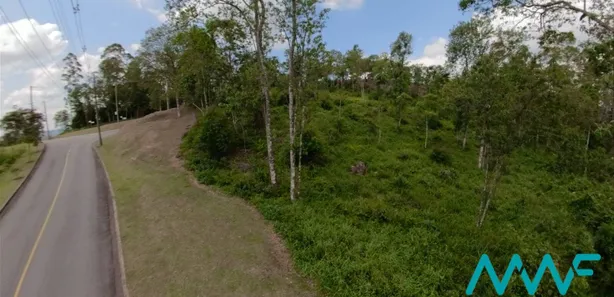 Terreno / Lote / Condomínio à venda, 2501m² no Ecoville, Araçariguama