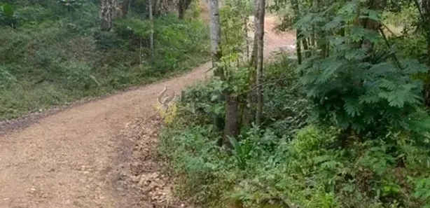 Fazenda / Sítio / Chácara com 2 Quartos à venda, 100m² no Centro, Rio Branco do Sul