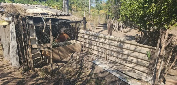 Fazenda / Sítio / Chácara com 2 Quartos à venda, 2766m² no , Aquidauana
