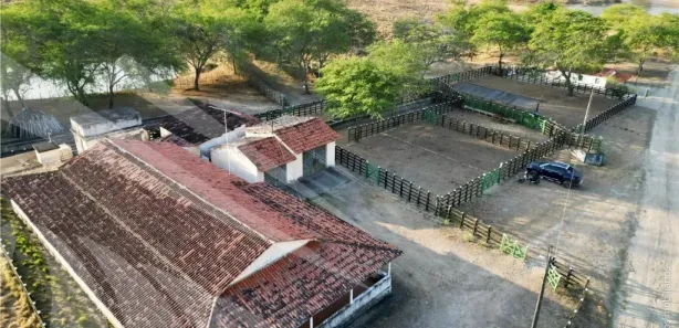 Fazenda / Sítio / Chácara com 4 Quartos à venda, 2950000m² no , Passira