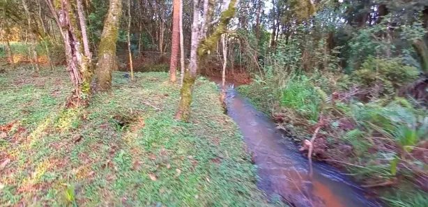 Fazenda / Sítio / Chácara à venda, 32800m² no , Tijucas do Sul