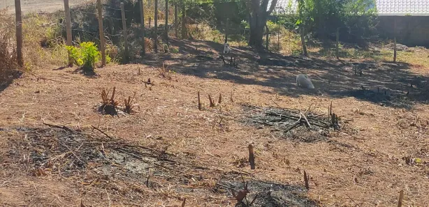 Terreno / Lote / Condomínio à venda, 360m² no Antônio dos Santos, Caeté