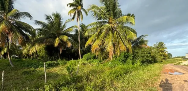 Terreno / Lote / Condomínio à venda, 42000m² no Centro, Barra dos Coqueiros
