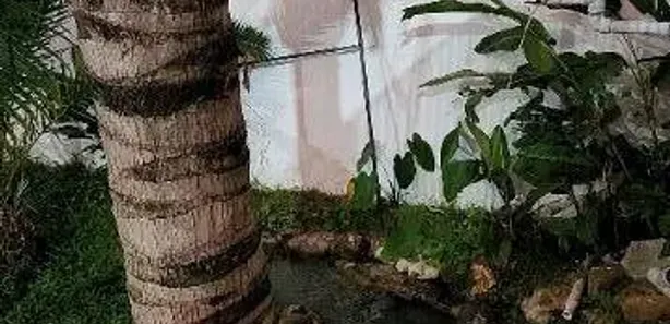 Fazenda / Sítio / Chácara com 1 Quarto para alugar, 80m² no Jardim Santo Antônio da Boa Vista, Jacareí