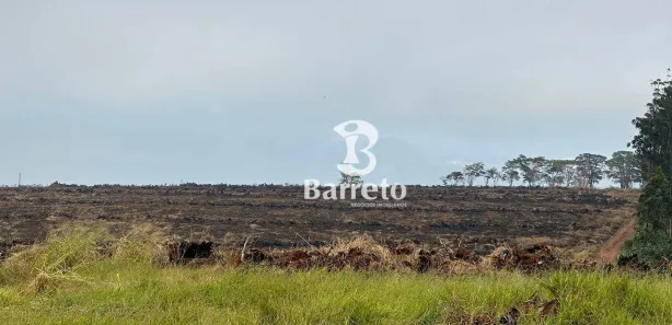 Terreno / Lote / Condomínio à venda, 444070m² no , Sabáudia