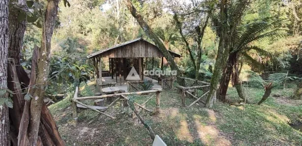 Fazenda / Sítio / Chácara com 3 Quartos à venda, 12864m² no Uvaia, Ponta Grossa