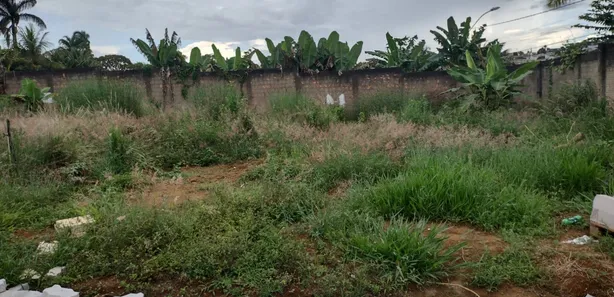 Terreno / Lote / Condomínio com 1 Quarto à venda, 263m² no Setor Habitacional Arniqueira, Brasília