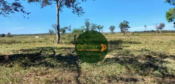 Fazenda / Sítio / Chácara à venda, 7647200m² no , Cristalândia