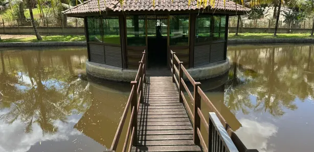 Fazenda / Sítio / Chácara com 5 Quartos à venda, 28000m² no Área Rural de Gravatá, Gravatá