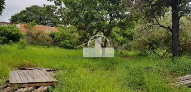 Loja / Salão / Ponto Comercial à venda, 3960m² no Centro, Sete Lagoas
