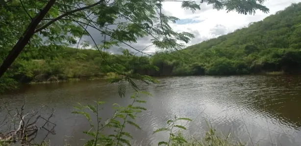Fazenda / Sítio / Chácara com 4 Quartos à venda, 140000m² no , Pombos
